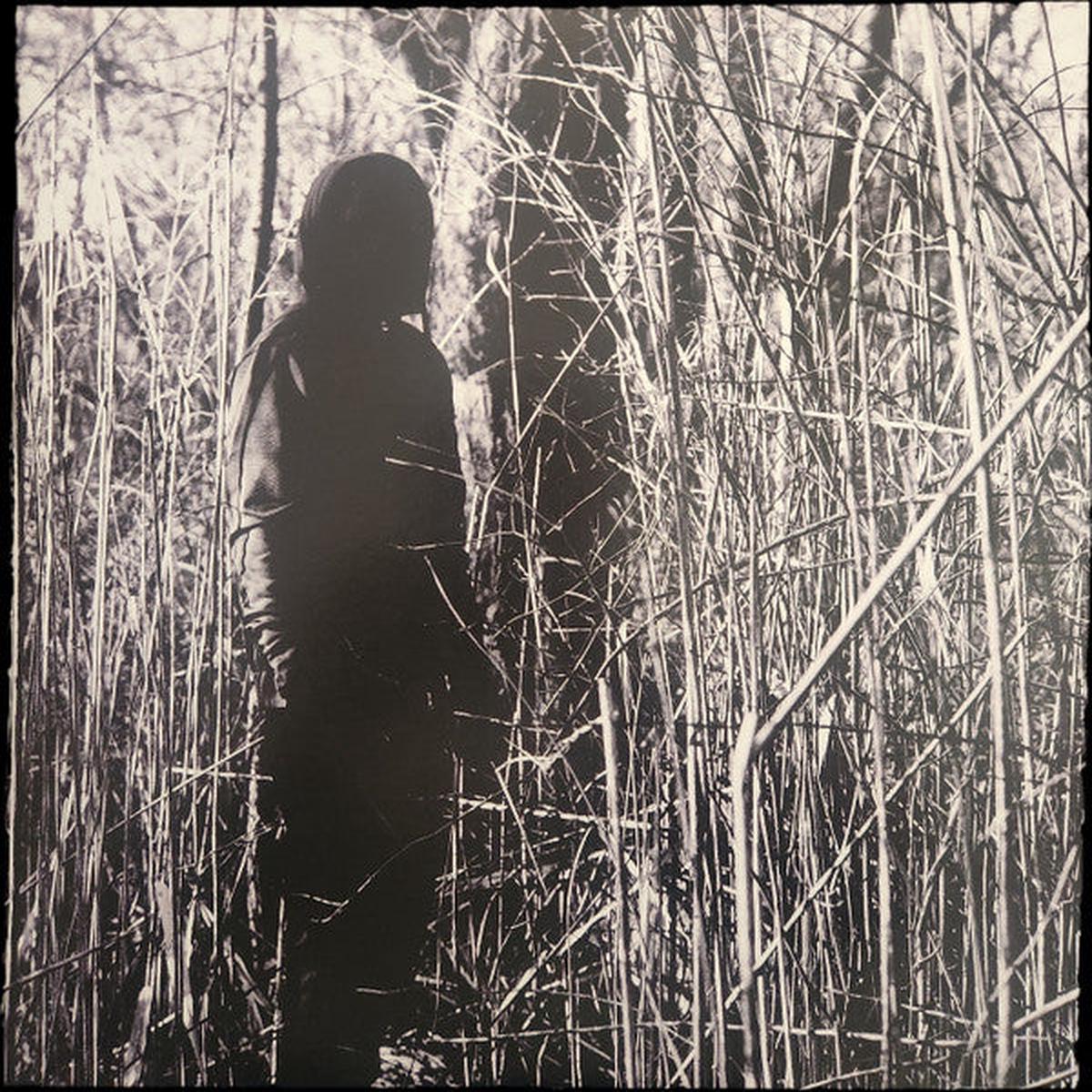 Woods, Billy - Today, I Wrote Nothing [Vinyl]