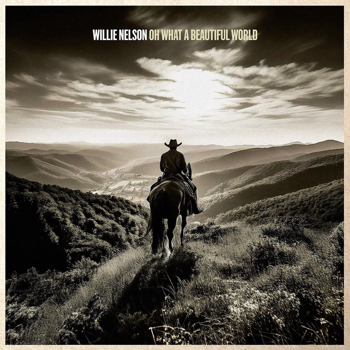 WILLIE NELSON 8211 Oh What A Beautiful World 8211 LP 8211 Vinyl