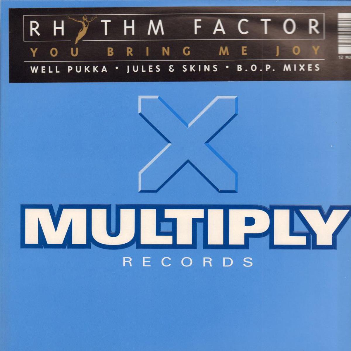 You Bring Me Joy-Multiply-12  Vinyl-Ex/New