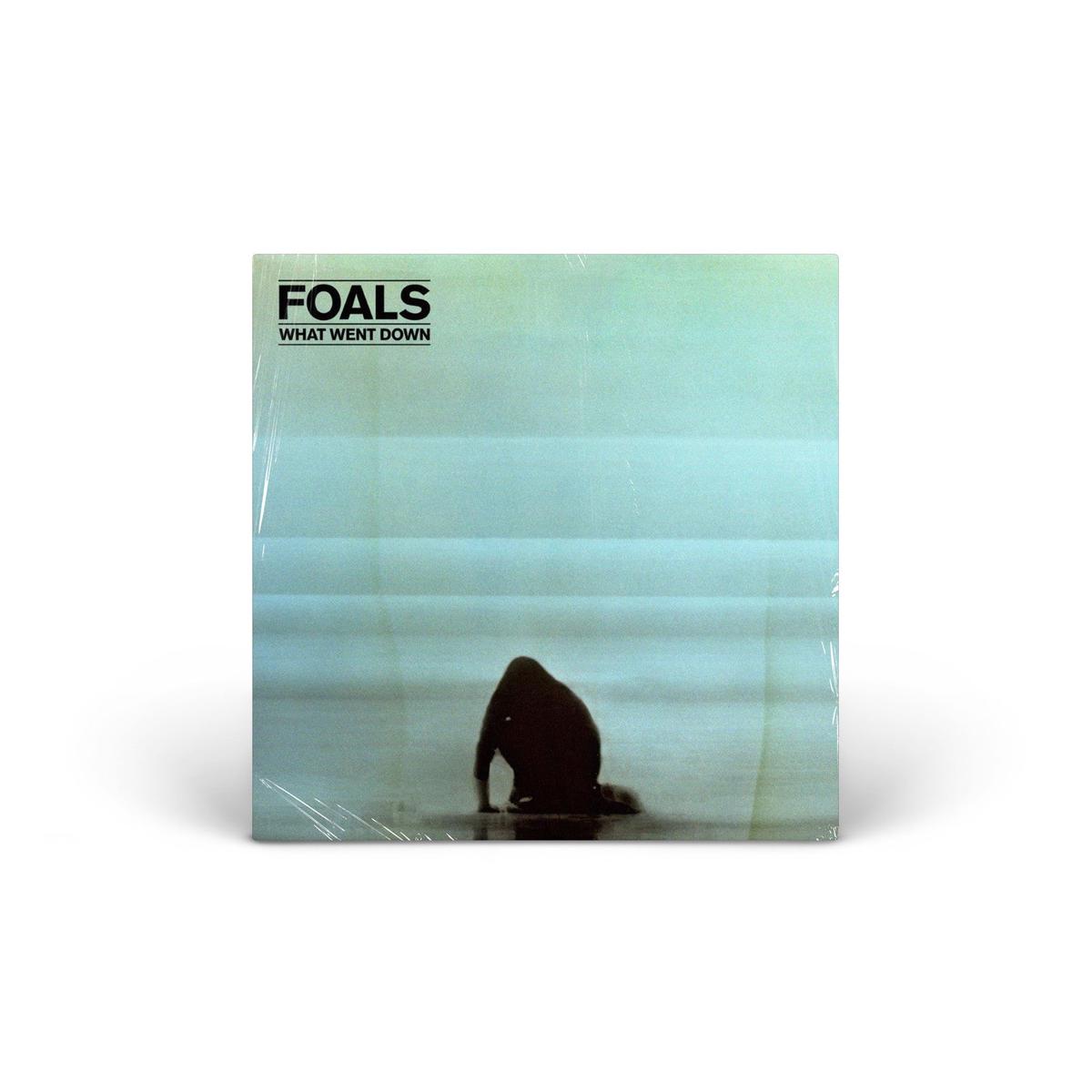 What Went Down Vinyl [LP]