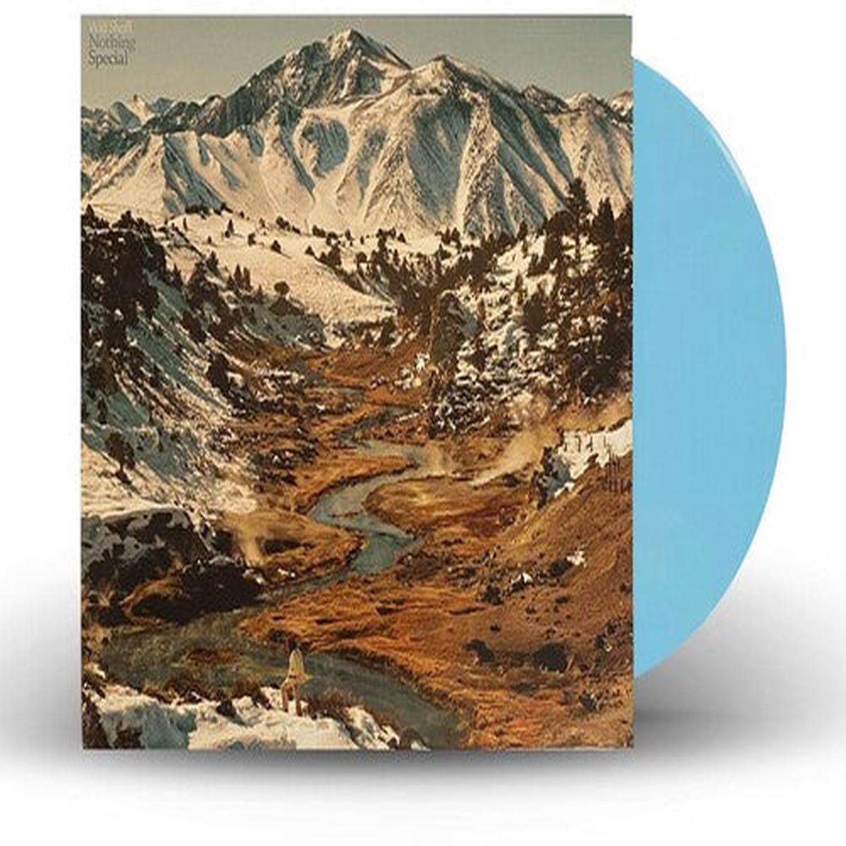 Will Sheff: Nothing Special - VINYL LP