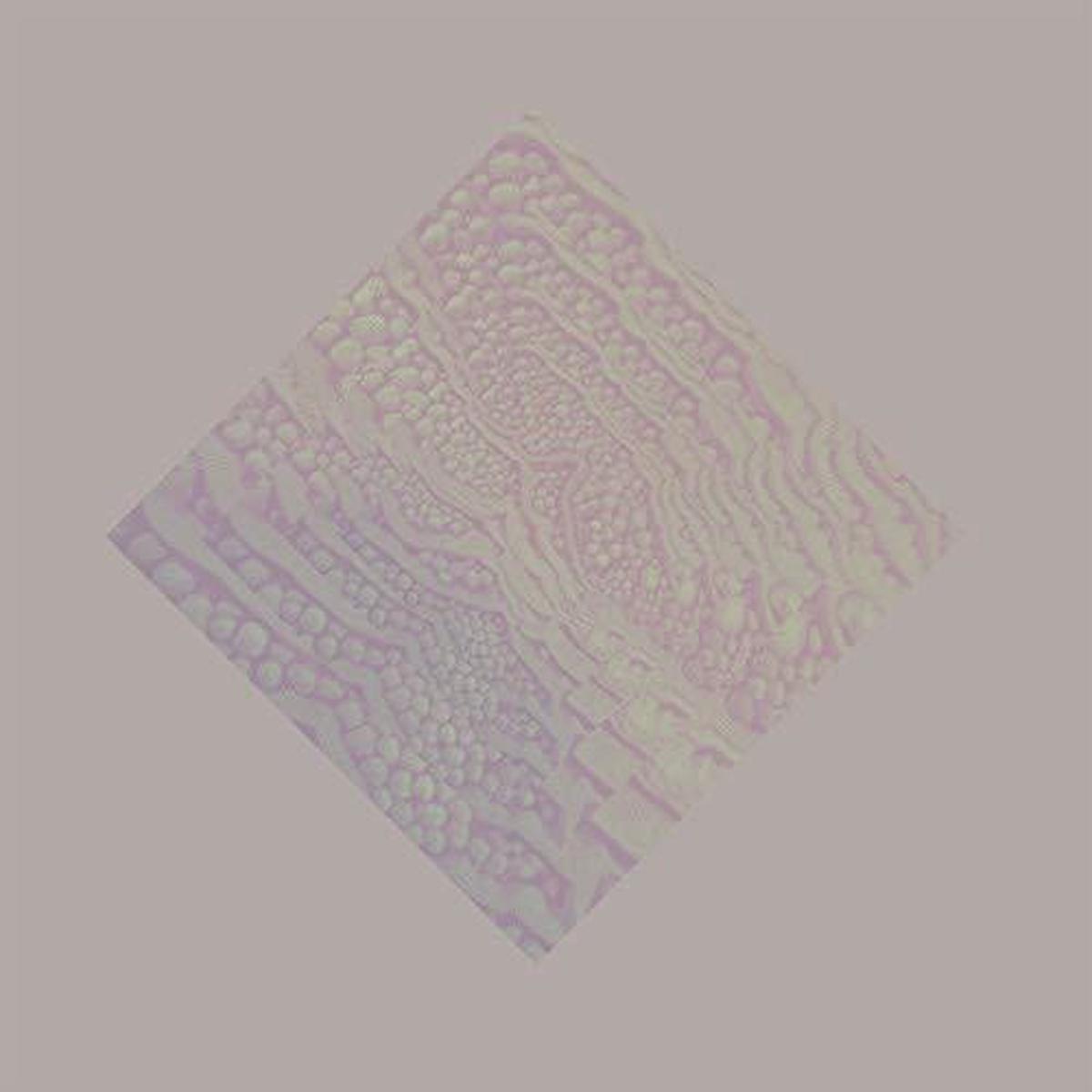 Al Lover: Cave Ritual - VINYL LP