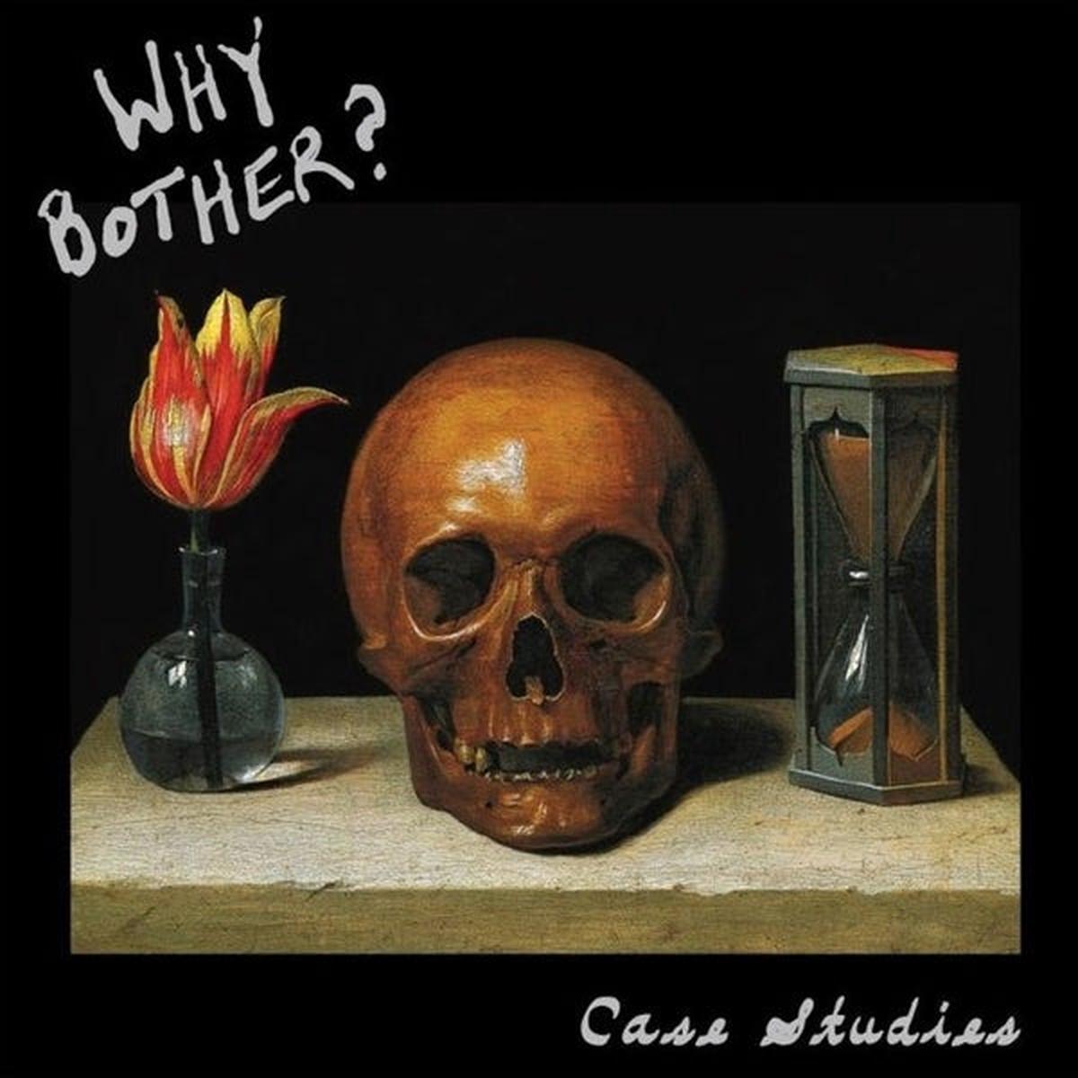 Why Bother? - Case Studies (LP)