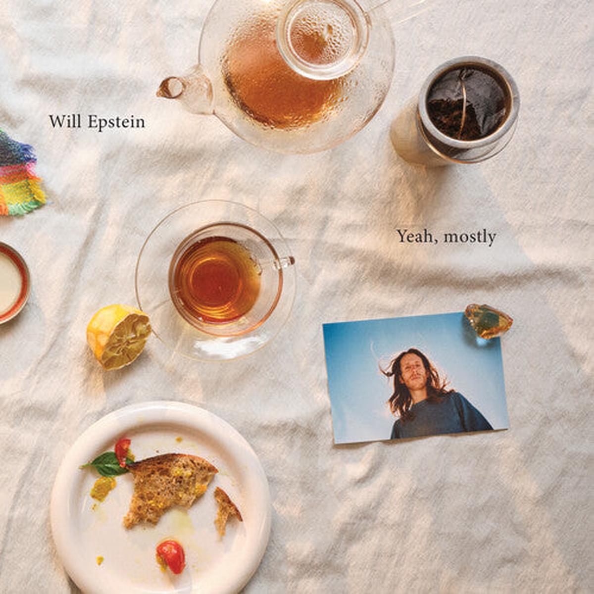 Will Epstein: Yeah, Mostly - VINYL LP