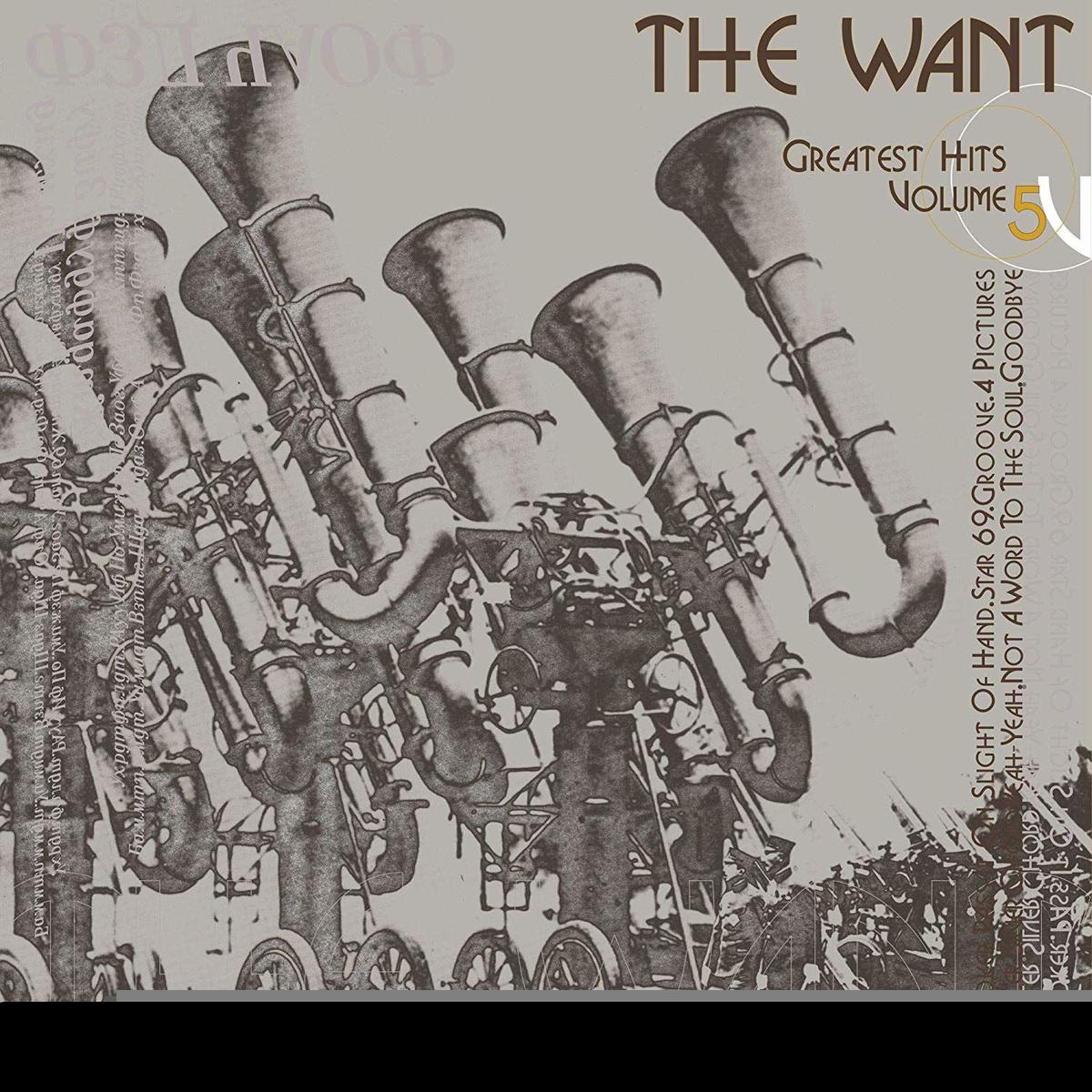 Want - Greatest Hits Vol. 5 (LP)