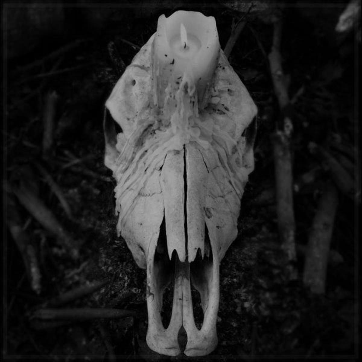 Worsen - Cursed To Witness Life (LP)