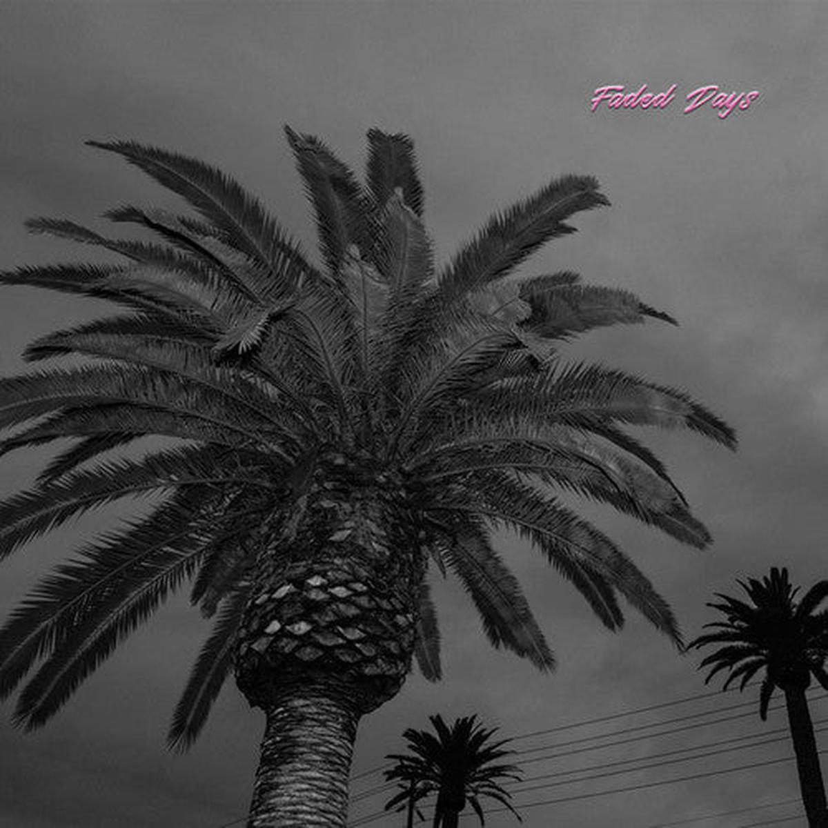 Actual Wolf: Faded Days - VINYL LP