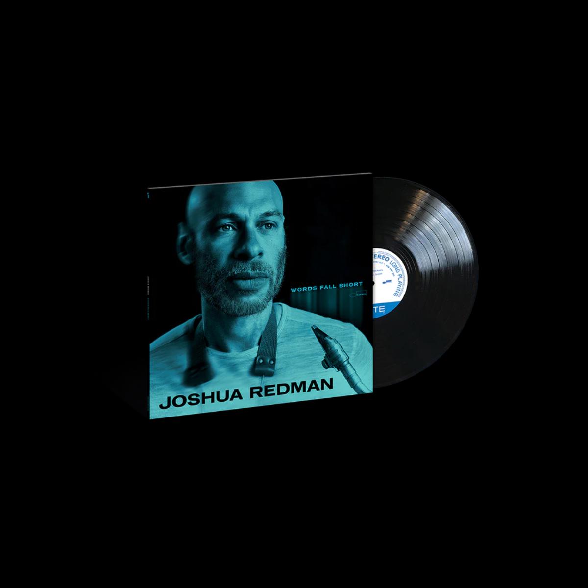 Words Fall Short - Vinyl