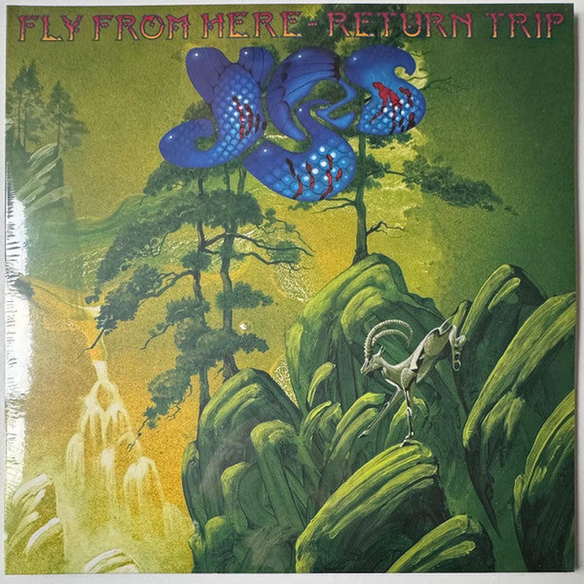 YES - FLY FROM HERE (RETURN TRIP): 2025 - LP