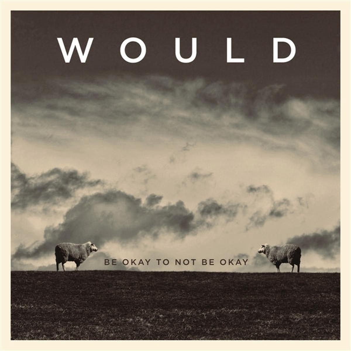 Would - Be Ok To Not Be Ok (LP)
