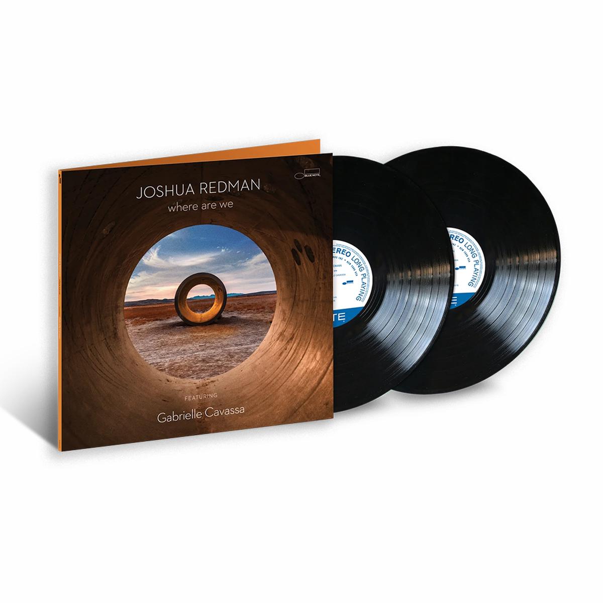 Where Are We: Vinyl 2LP.