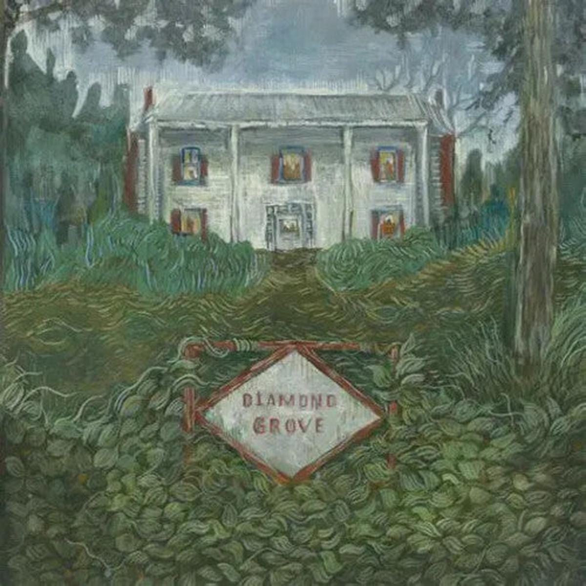 Weirs: Diamond Grove - VINYL LP