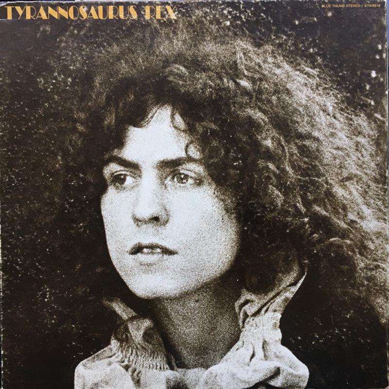Tyrannosaurus Rex (T. Rex) - A Beard Of Stars