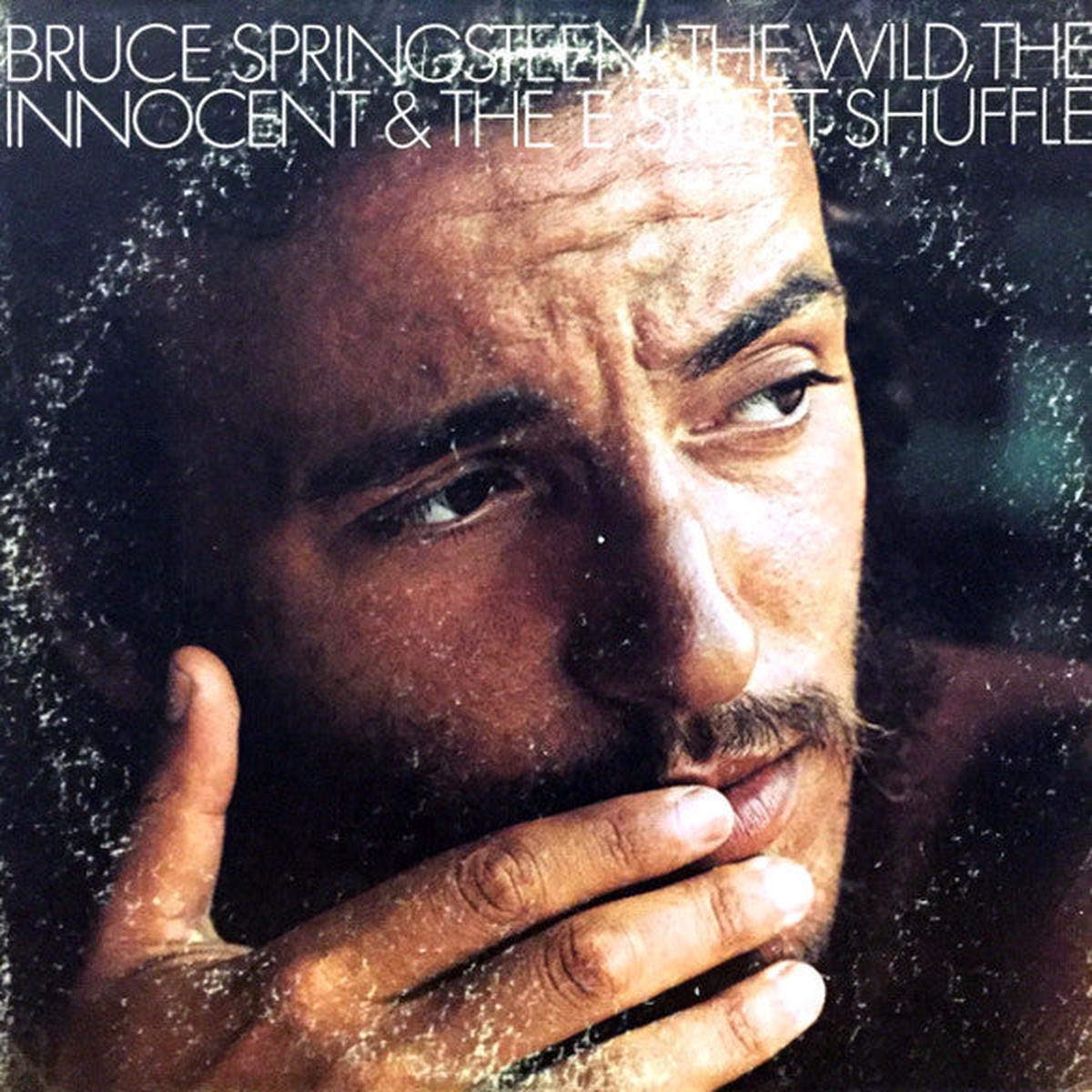 Bruce Springsteen  The Wild, The Innocent & The E Street Shuffle