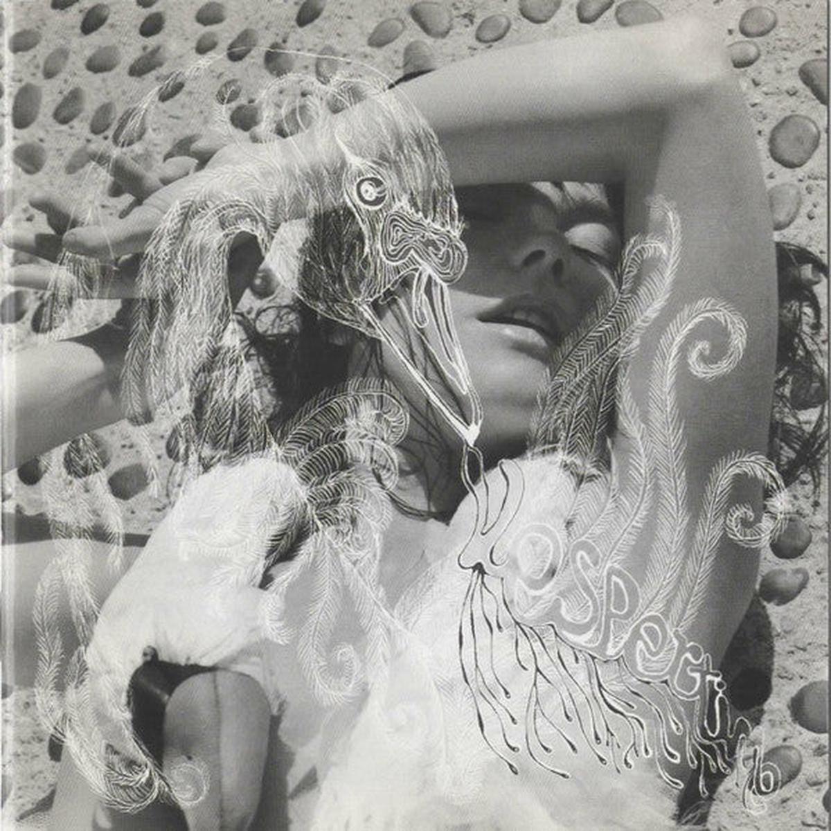 Bjrk Vespertine 2LP