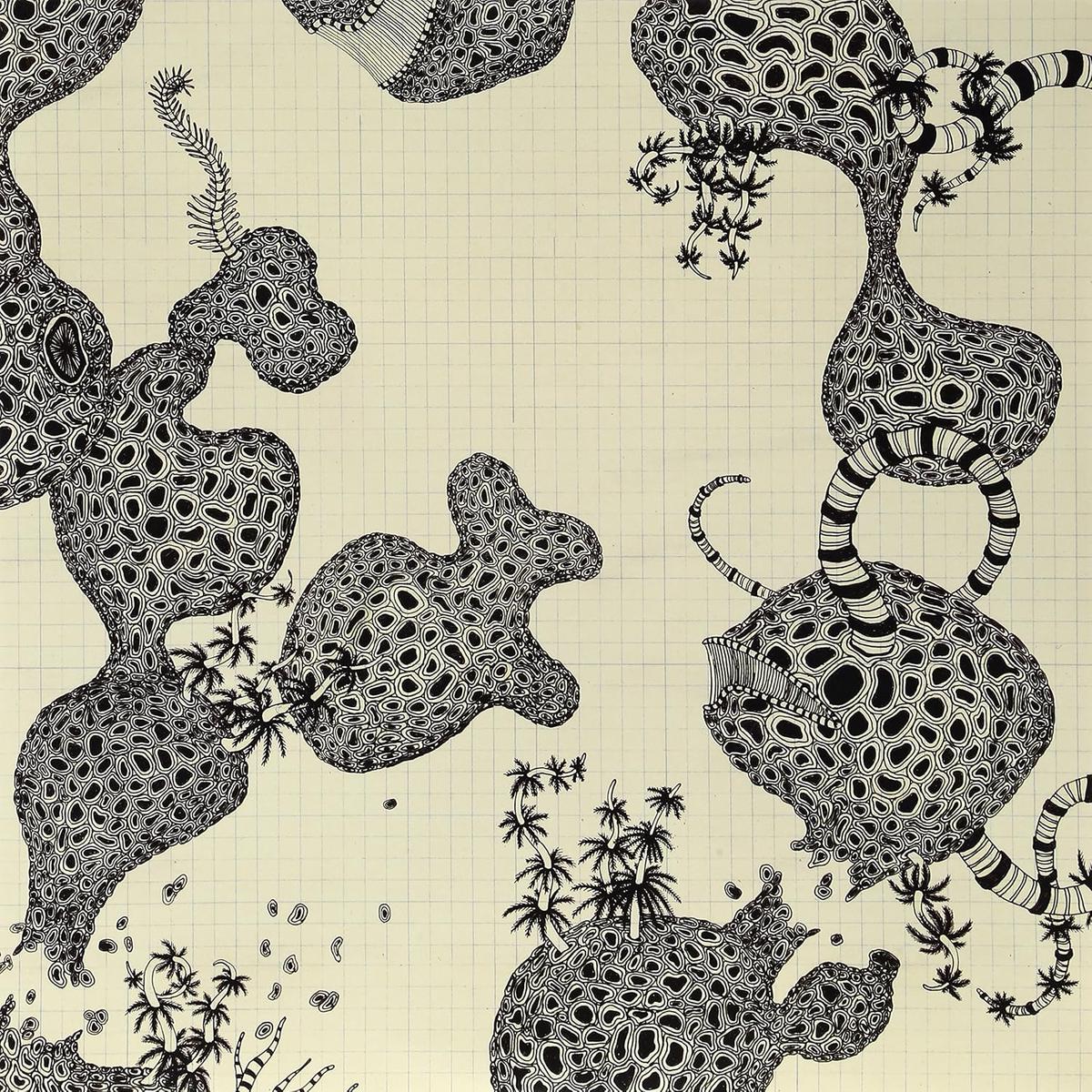 The Shins  Wincing The Night Away LP