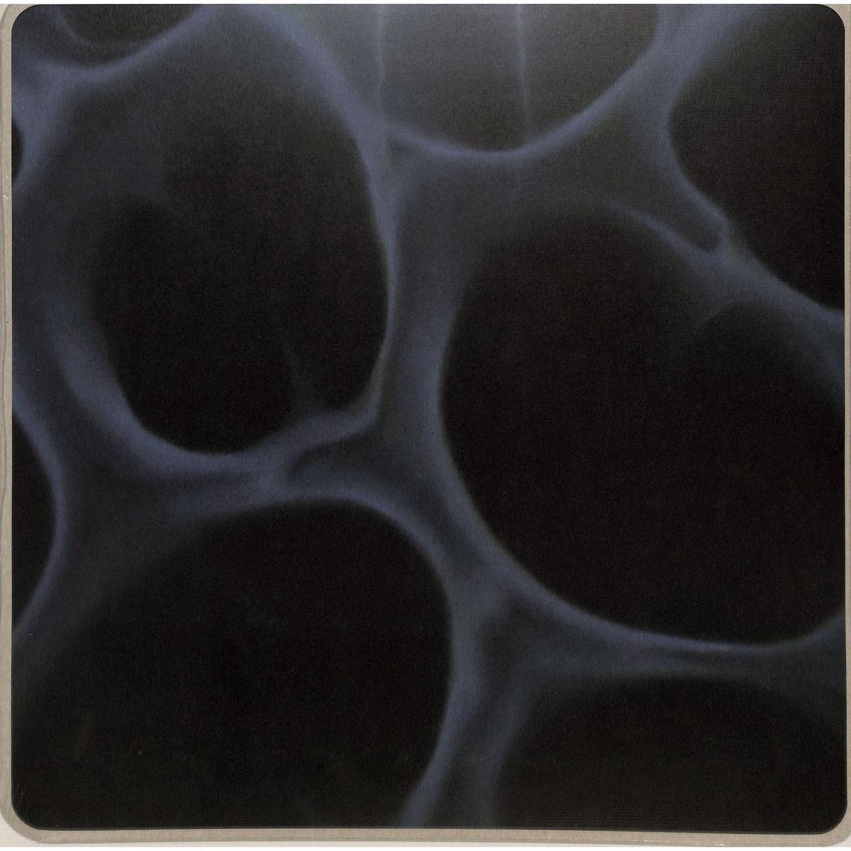 BLNDR RADIOLARIA