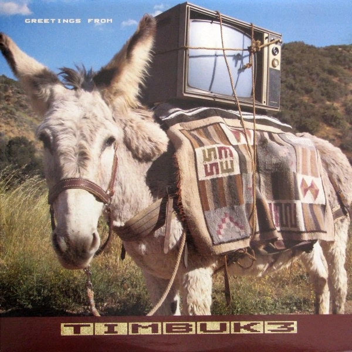 Timbuk 3 Greetings From Timbuk 3 -1986 - Indie Rock (Vinyl)