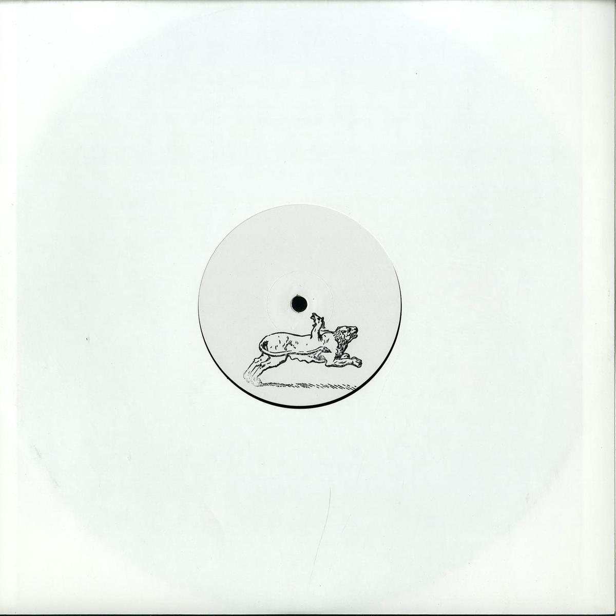 ALESSANDRO ADRIANI FALL ELSEWHERE AND SHATTER