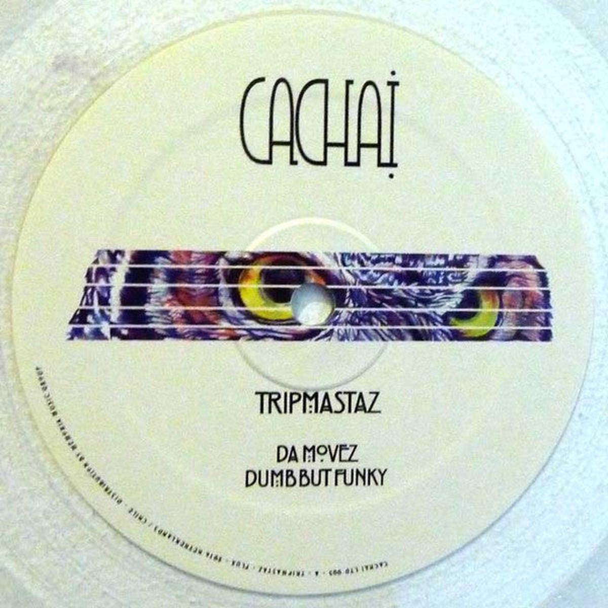 TRIPMASTAZ FLUX