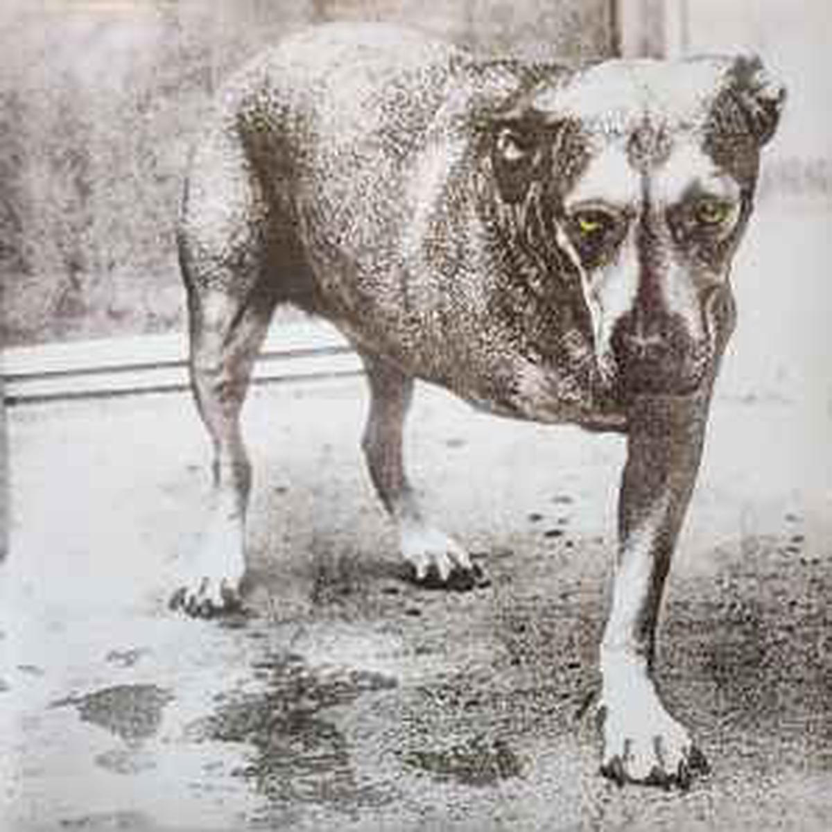 Alice In Chains -- Alice In Chains