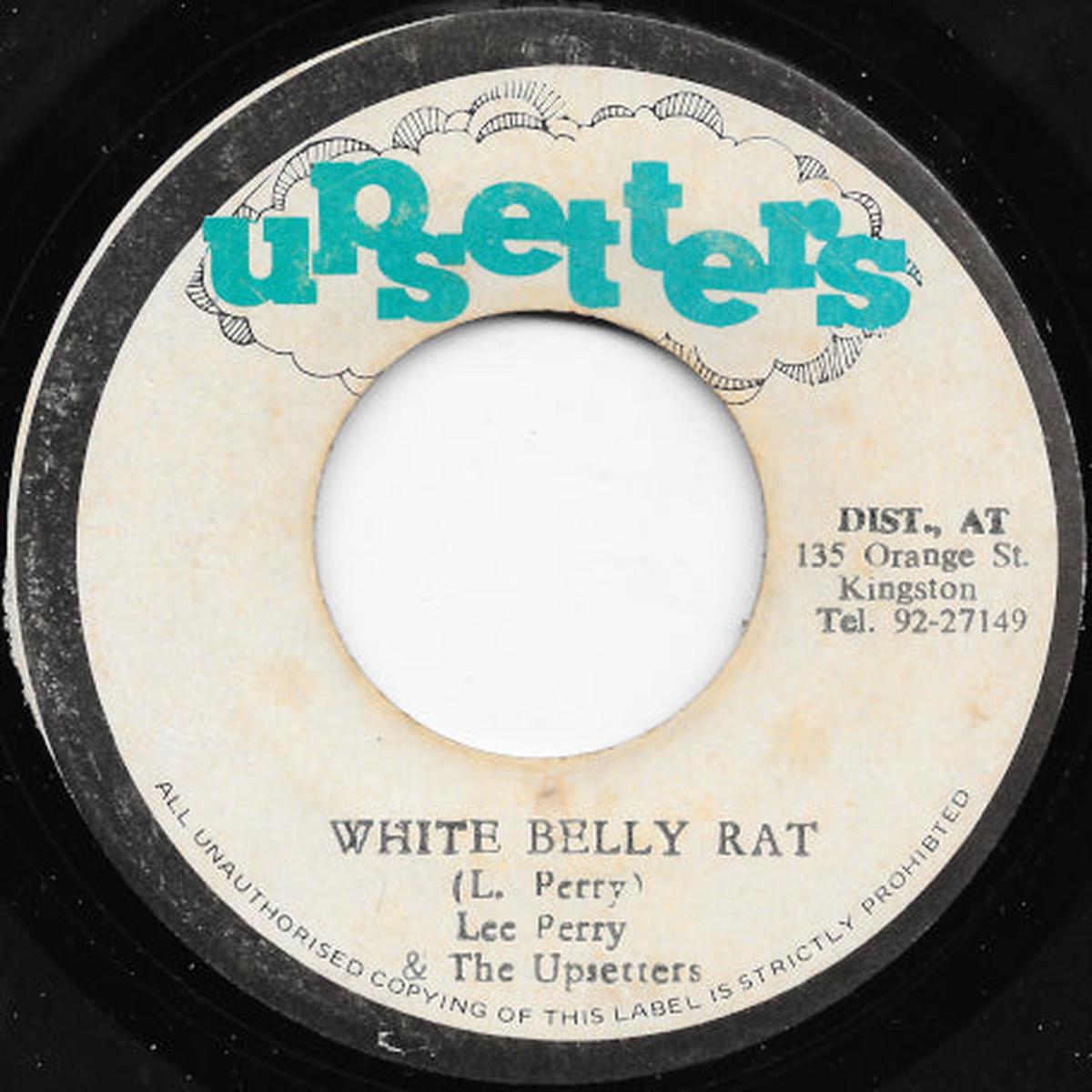 White Belly Rat / Judas Ver