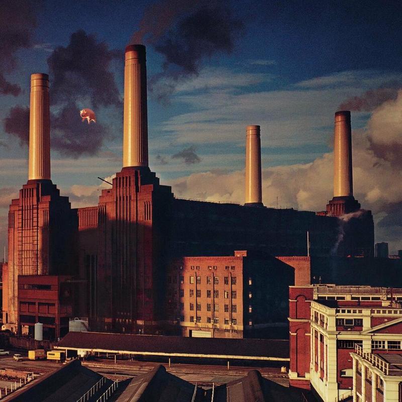 Animals (EU Reissue) - Pink Floyd (Vinyl) (BD)
