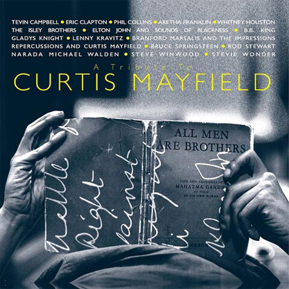 A Tribute To Curtis Mayfield - Various Artists (Vinyl) (AE)